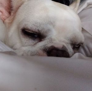 Meet your Posher, Charlene